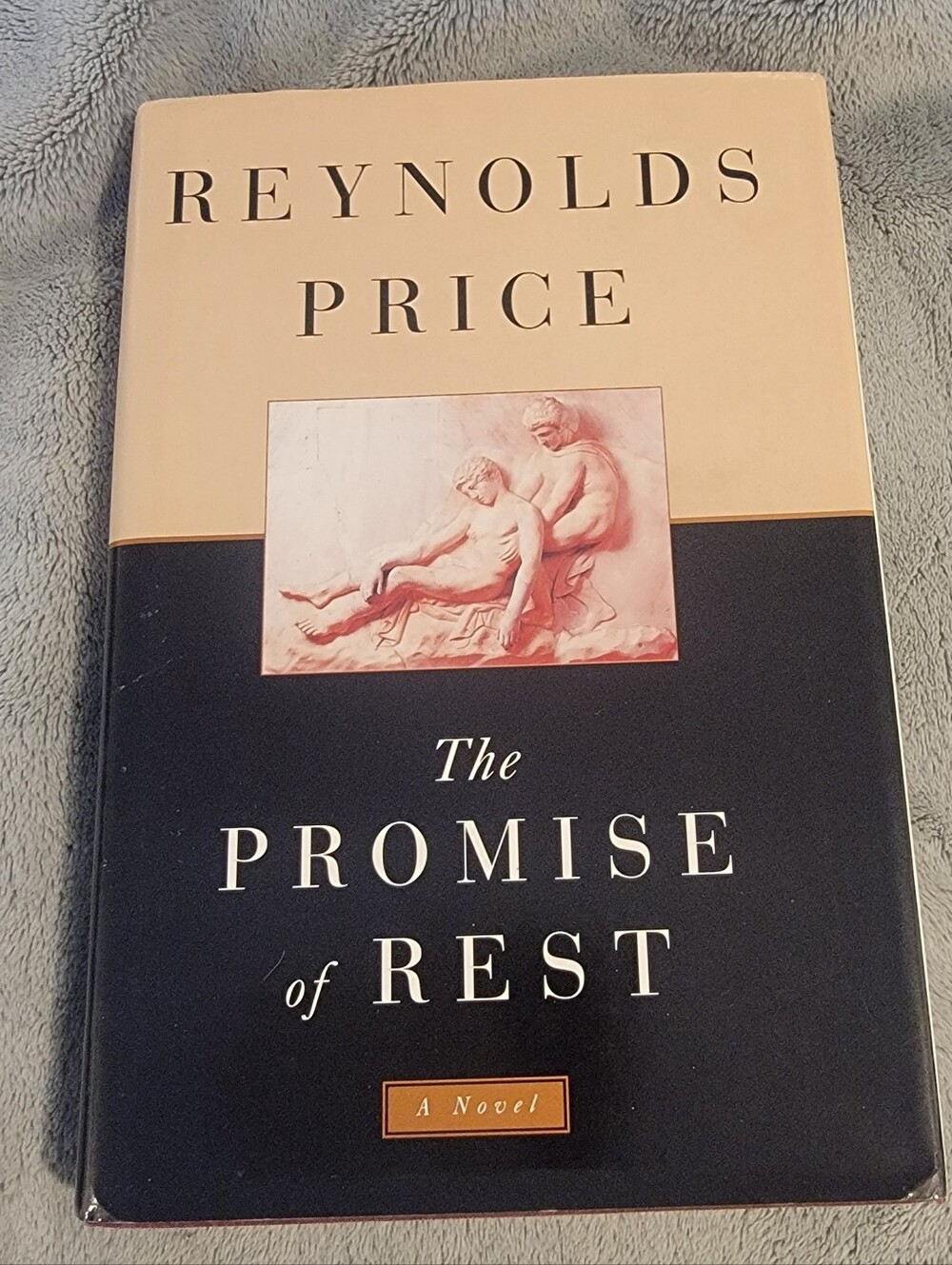 The Promise of Rest by Reynolds Price Hardcover Fiction Book Good Condition